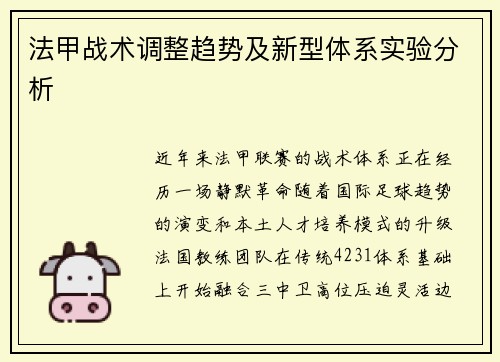 法甲战术调整趋势及新型体系实验分析